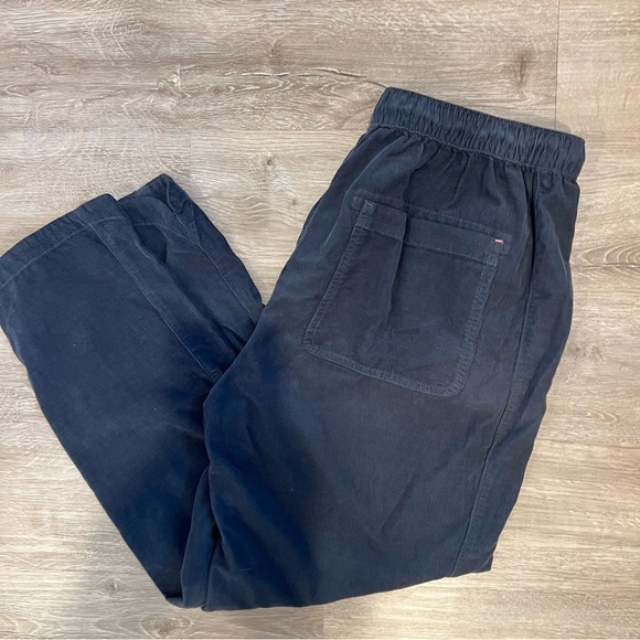 Anthropologie Pilcro The Cottage Corduroy Drawstring Pants in Navy - Picture 8 of 15